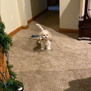 Meet your Posher, Katie